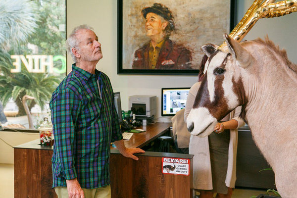 12 Epic Bill Murray Quotes and Why We Love Him