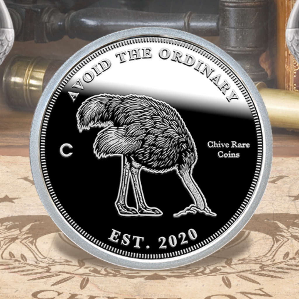 Avoid The Ordinary Silver Coin 1/10oz – The Chivery