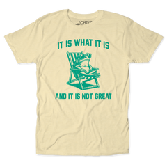 It Is What It Is Unisex Tee