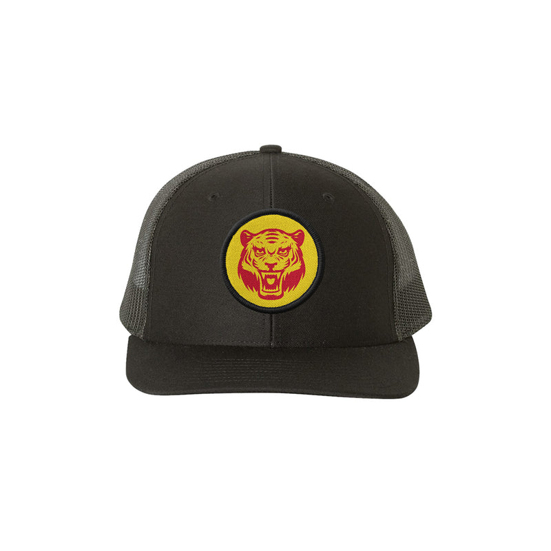 Eye Of The Tiger Snapback Hat